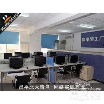 2013年計(jì)算機(jī)四級(jí)網(wǎng)絡(luò)工程師備考渠道與北大青鳥課程對(duì)比解析